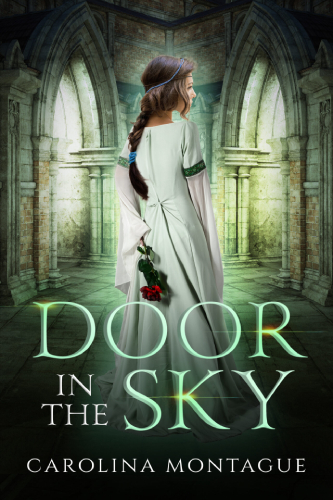 Door in the Sky book cover